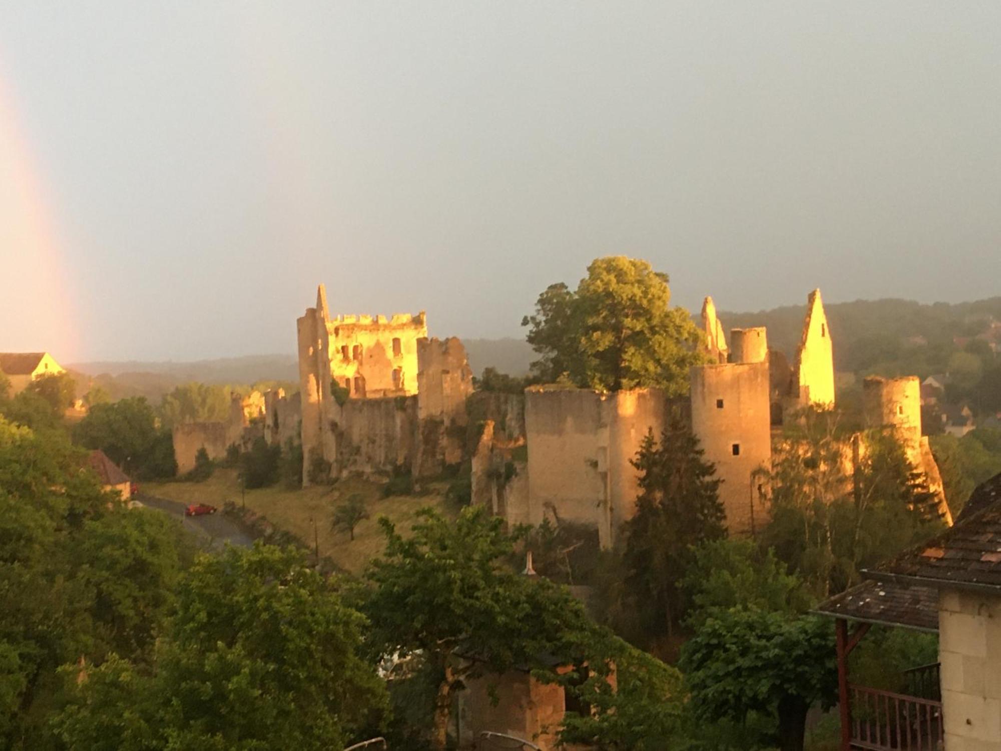 Chez Fred Avec Vue Sur Le Chateau Angles-sur-l'Anglin Exterior photo