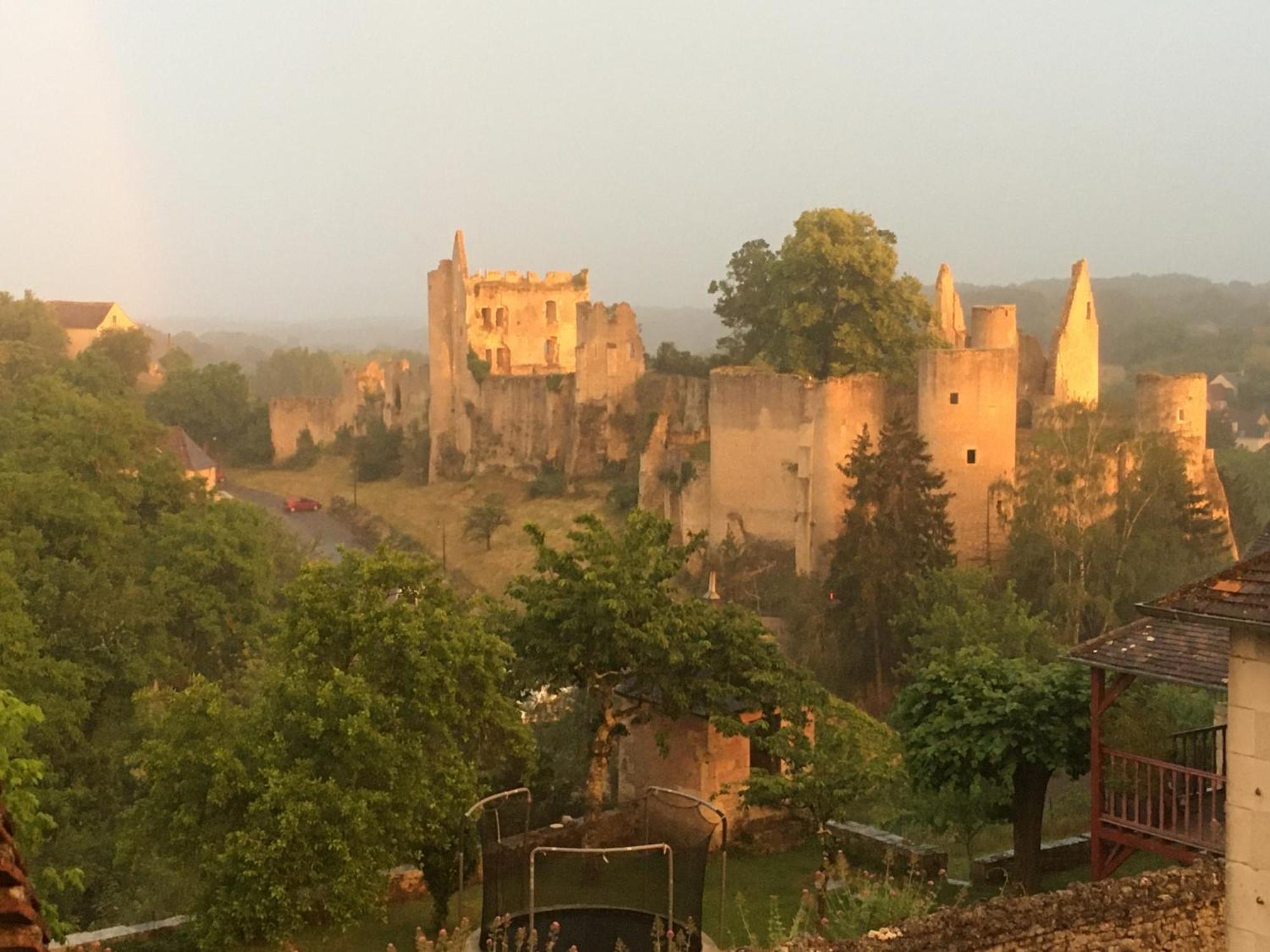 Chez Fred Avec Vue Sur Le Chateau Angles-sur-l'Anglin Exterior photo